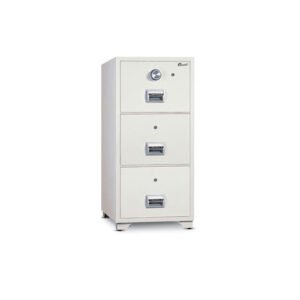 BIF300